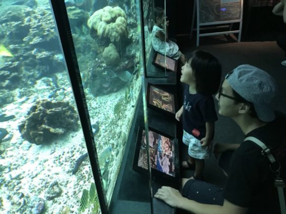 串本海中公園の水槽スペース