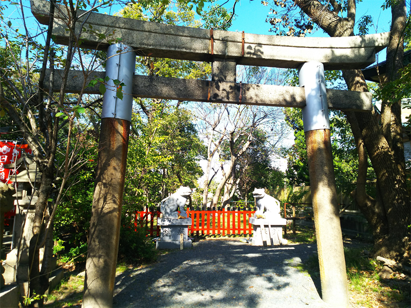 大江神社の狛虎