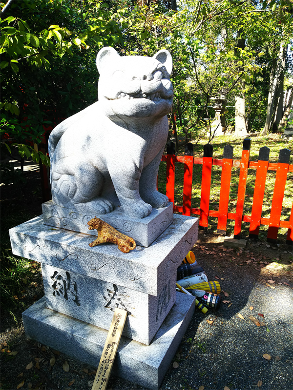 大江神社の狛虎